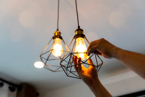 Best 24-Hour Electrician  in Lugoff, SC